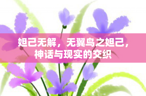 妲己无解，无翼鸟之妲己，神话与现实的交织