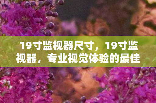 19寸监视器尺寸,19寸监视器,专业视觉体验的最佳选择 19寸监视器尺寸,19寸监视器,专业视觉体验的最佳选择