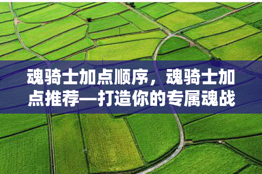 魂骑士加点顺序，魂骑士加点推荐—打造你的专属魂战士