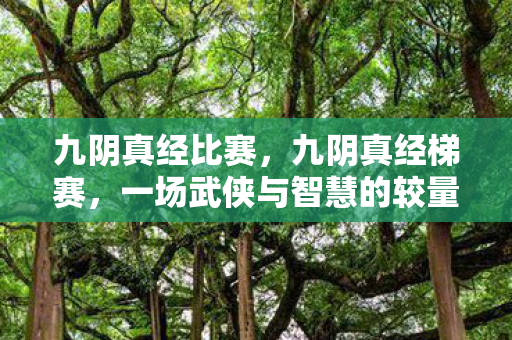 九阴真经比赛，九阴真经梯赛，一场武侠与智慧的较量