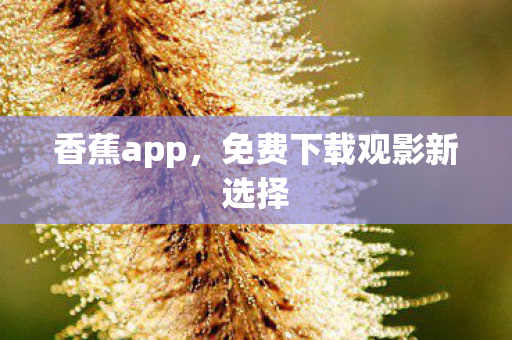 香蕉app，免费下载观影新选择