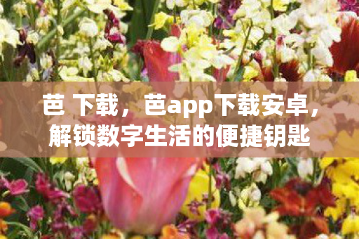 芭 下载，芭app下载安卓，解锁数字生活的便捷钥匙