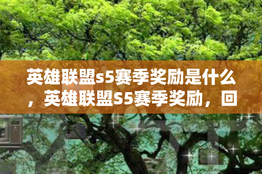 英雄联盟s5赛季奖励是什么，英雄联盟S5赛季奖励，回顾与解析