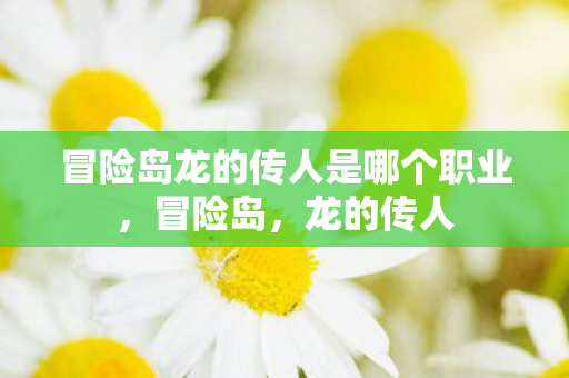 冒险岛龙的传人是哪个职业，冒险岛，龙的传人