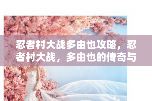 忍者村大战多由也攻略，忍者村大战，多由也的传奇与命运