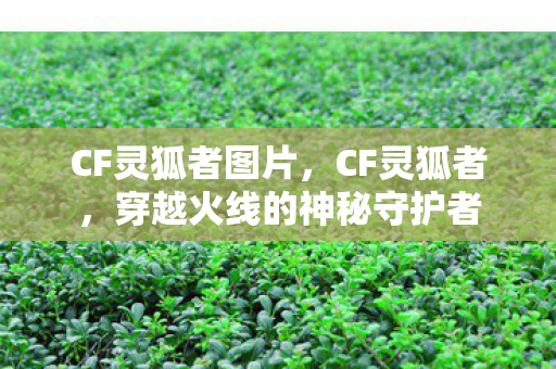 CF灵狐者图片，CF灵狐者，穿越火线的神秘守护者