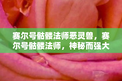 赛尔号骷髅法师恶灵兽,赛尔号骷髅法师,神秘而强大的存在 赛尔号骷髅法师恶灵兽,赛尔号骷髅法师,神秘而强大的存在