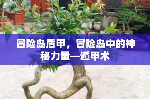 冒险岛盾甲，冒险岛中的神秘力量—遁甲术