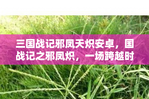 三国战记邪凤天炽安卓，国战记之邪凤炽，一场跨越时空的史诗对决