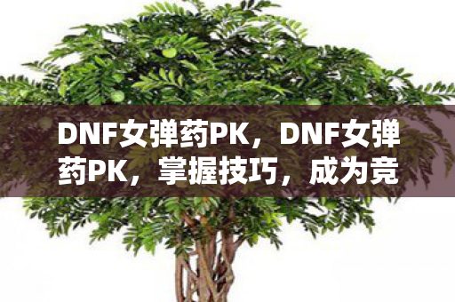 DNF女弹药PK，DNF女弹药PK，掌握技巧，成为竞技场的女神