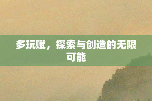 多玩赋，探索与创造的无限可能