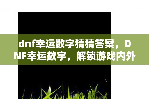 dnf幸运数字猜猜答案，DNF幸运数字，解锁游戏内外的神秘力量