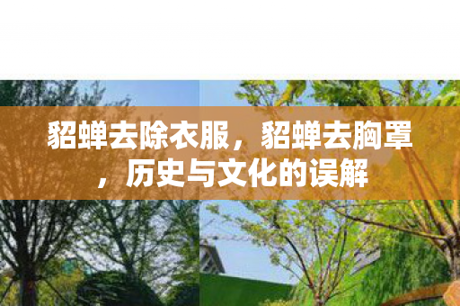 貂蝉去除衣服,貂蝉去胸罩,历史与文化的误解 貂蝉去除衣服,貂蝉去胸罩,历史与文化的误解