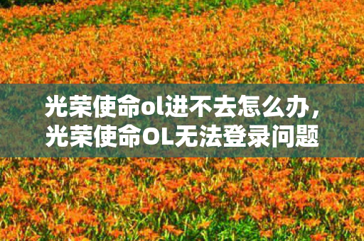 光荣使命OL无法登录问题解决方案图片