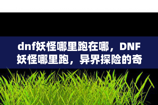dnf妖怪哪里跑在哪，DNF妖怪哪里跑，异界探险的奇幻之旅