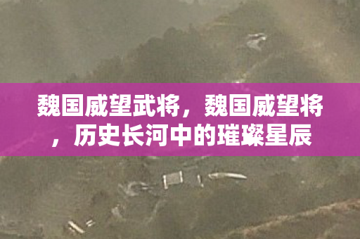 魏国威望武将，魏国威望将，历史长河中的璀璨星辰