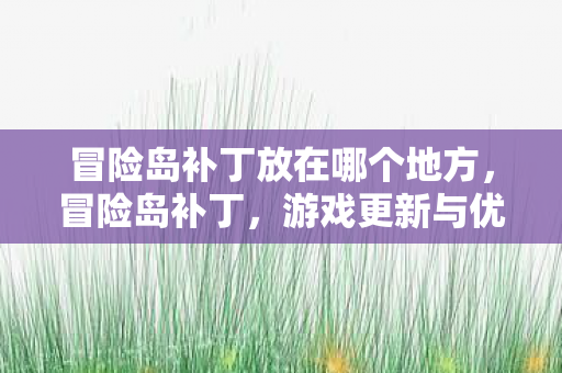 冒险岛补丁放在哪个地方，冒险岛补丁，游戏更新与优化的全面解析