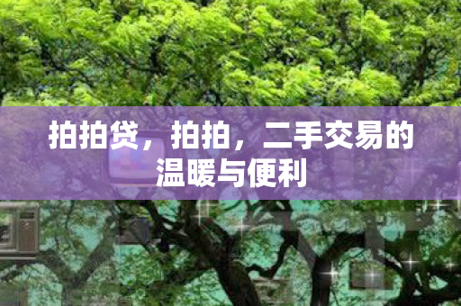 拍拍贷,拍拍,二手交易的温暖与便利 拍拍贷,拍拍,二手交易的温暖与便利