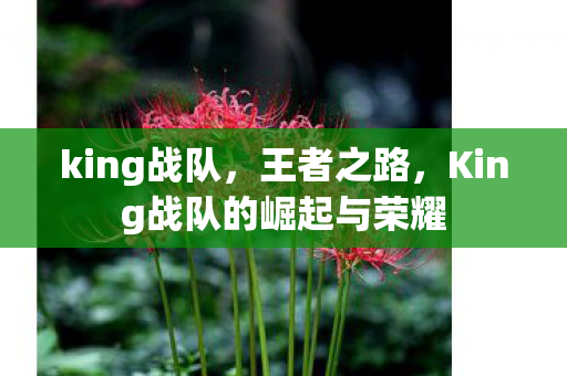 king战队，王者之路，King战队的崛起与荣耀