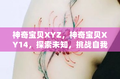 神奇宝贝XYZ，神奇宝贝XY14，探索未知，挑战自我