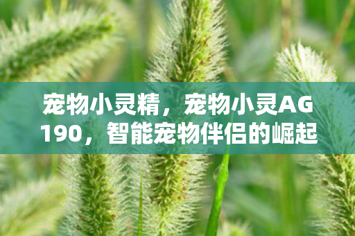 宠物小灵精，宠物小灵AG190，智能宠物伴侣的崛起