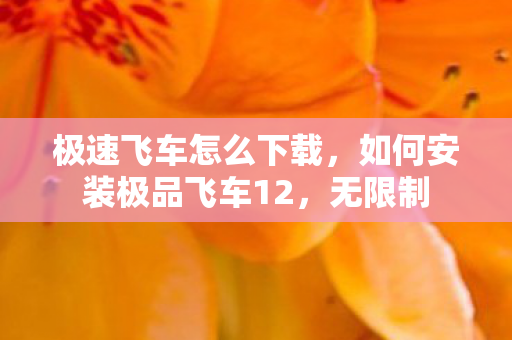 极速飞车怎么下载,如何安装极品飞车12,无限制 极速飞车怎么下载,如何安装极品飞车12,无限制