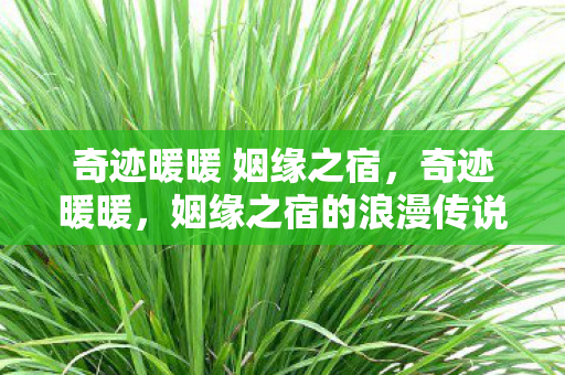 奇迹暖暖 姻缘之宿，奇迹暖暖，姻缘之宿的浪漫传说