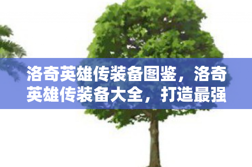 洛奇英雄传装备图鉴，洛奇英雄传装备大全，打造最强战斗力的关键