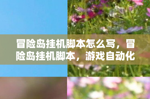 冒险岛挂机脚本怎么写，冒险岛挂机脚本，游戏自动化的双刃剑