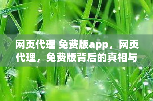 网页代理 免费版app,网页代理,免费版背后的真相与风险 网页代理 免费版app,网页代理,免费版背后的真相与风险