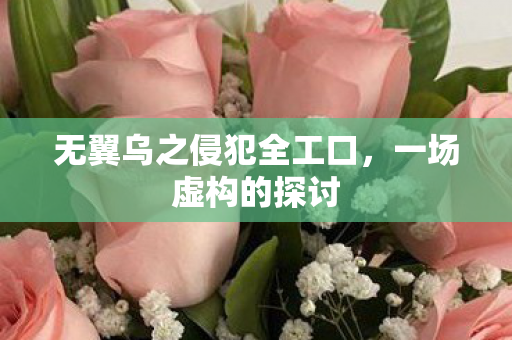 无翼乌之侵犯全工口，一场虚构的探讨