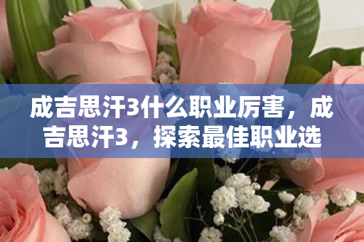 成吉思汗3什么职业厉害，成吉思汗3，探索最佳职业选择，打造你的传奇之旅