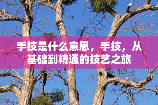手技是什么意思，手技，从基础到精通的技艺之旅