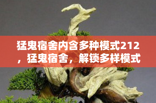 猛鬼宿舍内含多种模式212，猛鬼宿舍，解锁多样模式，挑战你的极限