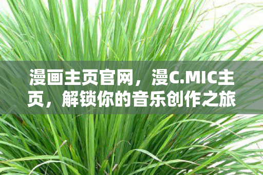 漫画主页官网，漫C.MIC主页，解锁你的音乐创作之旅