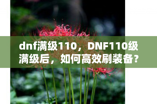 DNF110级满级后图片