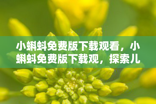 小蝌蚪免费版下载观看，小蝌蚪免费版下载观，探索儿童教育的趣味与意义