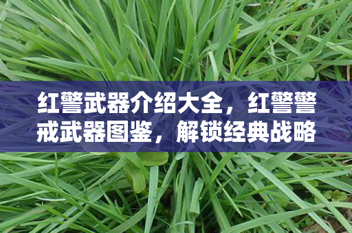 红警武器介绍大全，红警警戒武器图鉴，解锁经典战略游戏中的军事科技