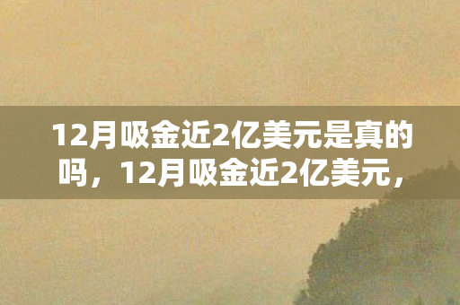12月吸金近2亿美元是真的吗，12月吸金近2亿美元，揭秘背后的投资逻辑与趋势