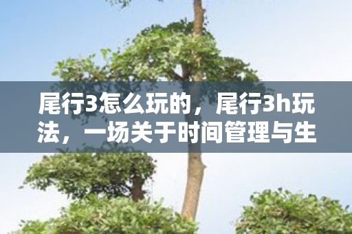 尾行3怎么玩的,尾行3h玩法,一场关于时间管理与生活平衡的探讨 尾行3怎么玩的,尾行3h玩法,一场关于时间管理与生活平衡的探讨