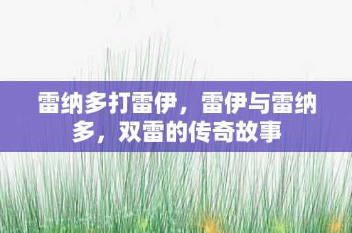 雷纳多打雷伊，雷伊与雷纳多，双雷的传奇故事