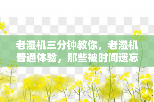 那些被时间遗忘的飞行记忆图片