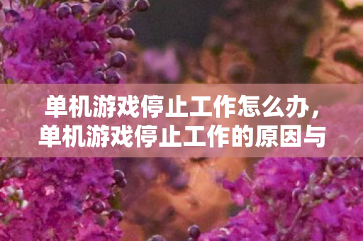 单机游戏停止工作怎么办,单机游戏停止工作的原因与解决方法 单机游戏停止工作怎么办,单机游戏停止工作的原因与解决方法