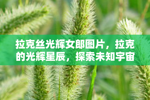 拉克丝光辉女郎图片,拉克的光辉星辰,探索未知宇宙的无尽魅力 拉克丝光辉女郎图片,拉克的光辉星辰,探索未知宇宙的无尽魅力