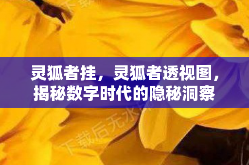 灵狐者挂,灵狐者透视图,揭秘数字时代的隐秘洞察 灵狐者挂,灵狐者透视图,揭秘数字时代的隐秘洞察