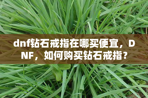 dnf钻石戒指在哪买便宜，DNF，如何购买钻石戒指？