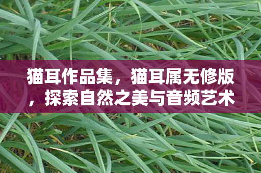猫耳作品集,猫耳属无修版,探索自然之美与音频艺术的完美融合 猫耳作品集,猫耳属无修版,探索自然之美与音频艺术的完美融合