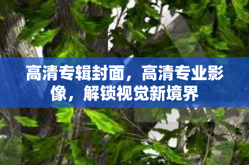 高清专辑封面,高清专业影像,解锁视觉新境界 高清专辑封面,高清专业影像,解锁视觉新境界