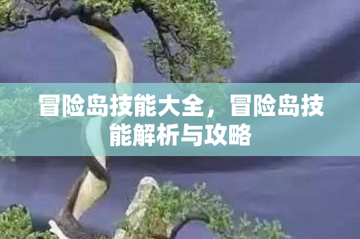 冒险岛技能大全，冒险岛技能解析与攻略