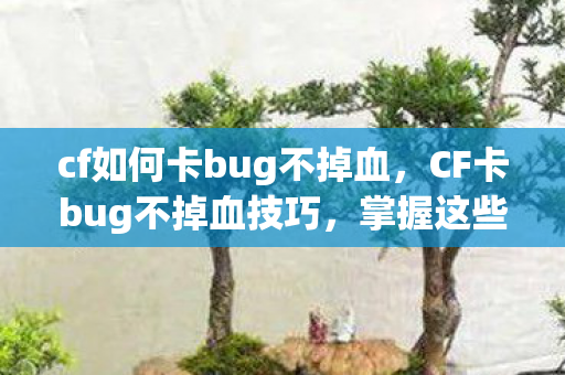 cf如何卡bug不掉血，CF卡bug不掉血技巧，掌握这些技巧，让你在战斗中轻松获胜